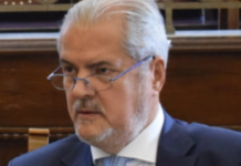 Romoșan: Falsurile lui Năstase sunt indubitabile, tablourile devin zero ca valoare. Pentru el pierderea e infimă, are în colecție tablouri de zeci de milioane de euro bucata!