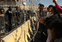 Neamțu: Texasul luptă contra invaziei Americii, permisă de către democrați, în interes electoral.