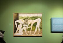 Paladista sau cât de incompetent este Directorul General de la MNAR, Călin Stegerean?