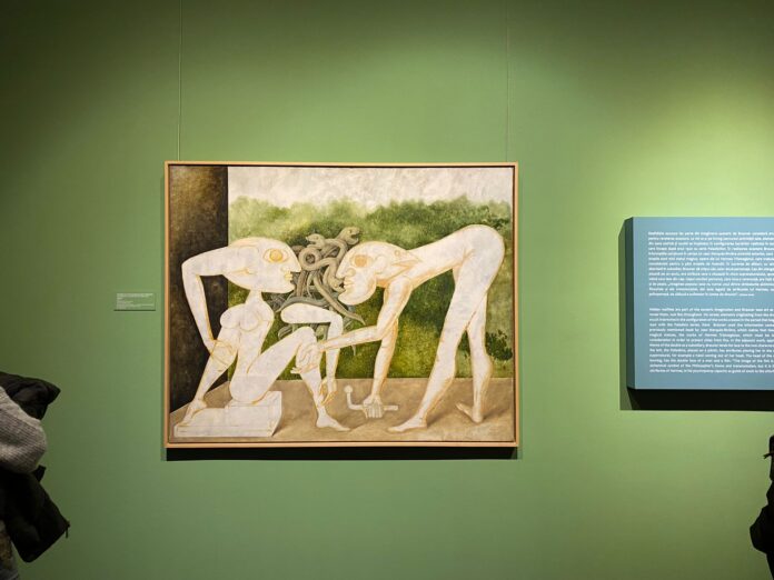 Paladista sau cât de incompetent este Directorul General de la MNAR, Călin Stegerean?