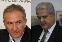 Fiecare cu cumnatul lui – Adrian Năstase și mega-tunul din asigurări