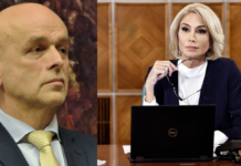 Turcan a primit de la Stegerean 10 tablouri care au ajuns în birourile de la Ministerul Culturii, deși nu se respectă normale de protecție a operelor de artă