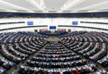 Petrișor Peiu lansează o provocare suveraniștilor: De ce este acceptabil să cerem reducerea birocrației românești, dar nu și reducerea birocrației europene?