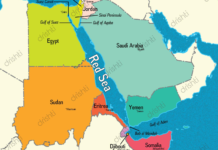 Catastrofala duplicitate yemenită