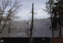 Operațiunea a 8-a casă. Iohannis trebuia aruncat la coșul istoriei, nu propus la NATO