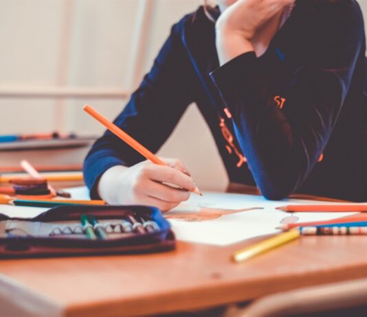 Dezastru în sistemul de educație, îmbogățirea meditatorilor. Un profesor din Timiș a câștigat 575 000 de lei într-un singur an!