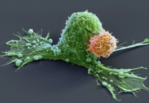 Dacă luptătorii împotriva cancerului sunt antrenați, de ce luptătorii împotriva propagandei sunt uciși?