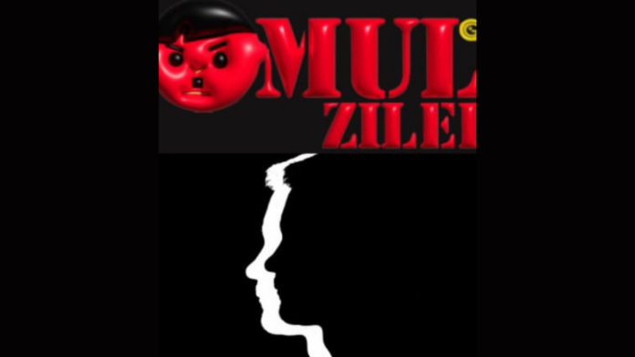 Omul Negru al Zilei. Personajul colectiv ce-a blocat conturile GOLD FM de pe FB, YouTube, Tik-Tok, și a atacat blogul lui SRS.