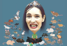 Bătălia pentru Sectorul 1: imperativa coaliție anti-Clotilde