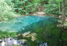 Ce poți face în cea mai lungă vacanță școlară?