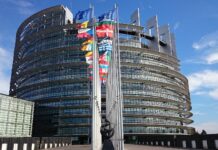 Ion Spânu: În topul viitorilor europarlamentari îl situez pe Cristian Terheș pe locul 1, Claudiu Manda pe 2, Gheorghe Piperea și Dimitrie Sturdza pe 3. Negativ, Marian-Jean Marinescu pe locul 1, Mihai Tudose pe 2 și Vlad Voiculescu, Mihai Neamțu și Rareș Bogdan pe 3.