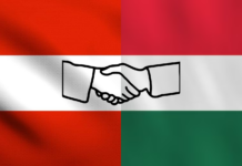 SRS: Mă îngrijorează axa geopolitică austro-ungară, e dispusă la excese de toate felurile!