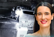 Jungla urbană a primăriței Clotilde Armand. Defrișare nocturnă la comandă în zona Piața Domenii-Cașin (Video)