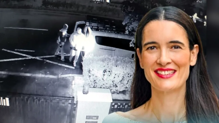 Jungla urbană a primăriței Clotilde Armand. Defrișare nocturnă la comandă în zona Piața Domenii-Cașin (Video)