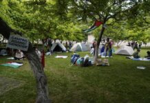 Protestele anti Israel încep și-n România! Studenții UBB Cluj-Napoca și-au montat corturi în curtea instituției.