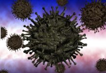 BOMBĂ despre finanțarea laboratorului din Wuhan și noi cercetări periculoase.