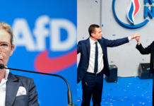 Petrișor Peiu: AfD și Rassemblement National nu sunt partide extremiste!