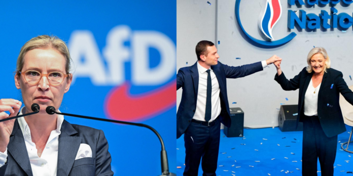 Petrișor Peiu: AfD și Rassemblement National nu sunt partide extremiste!