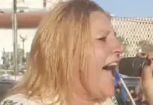 ActiveNews, articol-rechizitoriu contra Dianei Șoșoacă