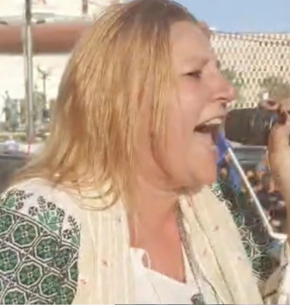 ActiveNews, articol-rechizitoriu contra Dianei Șoșoacă