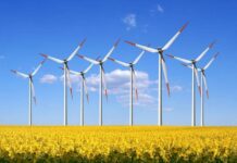 Petrișor Peiu, despre țeapa eolienelor: așa se întâmplă cu toate achizițiile publice!