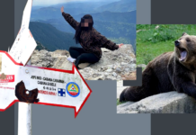 Scena sfâșietoare găsită de salvamontiștii care au recuperat trupul tinerei ucise de urs. ”Este cel mai CRUD CAZ de până acum”