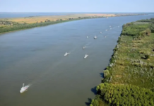 Atacuri năprasnice la gurile Dunării