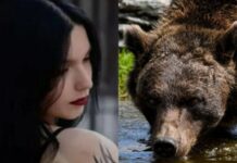 Petrișor Peiu, despre cazul tinerei ucise de urs: lipsa de solidaritate a românilor este agonizantă. Ministrul Mediului nu și-a dat demisia încă?!