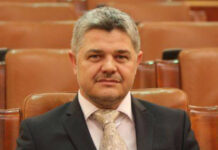 Ninel Peia: Cum se falsifică sondajele. Episodul I – Cumetria Palada-Simion!