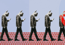 Germanii sunt proști?