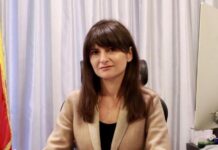 Dosar de candidat – Ileana Cristina Dumitrache, deputat PSD. Motto – „Sunt bogată dar mai vreau. Adică nu eu, ci mai mult tata și soțul”