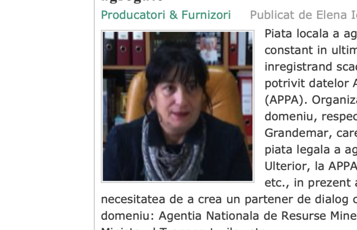 Grandemar Cluj a halit de la CNAIR doar in septembrie licitatii de 500 000 de euro pentru criblura, in timp ce drumarii romani se plang ca fosta contabila a firmei, azi CEO, favorizeaza firmele unguresti la achizitia de piatra