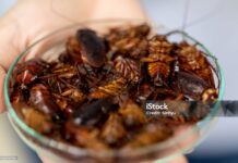 Ghilezan: Începe ofensiva transumanistă și-n domeniul alimentar, nu va avea succes pe termen scurt