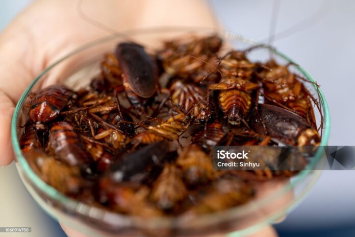 Ghilezan: Începe ofensiva transumanistă și-n domeniul alimentar, nu va avea succes pe termen scurt