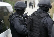 CORUPȚIA DIN VĂMI!! DNA, lovitură de proporții