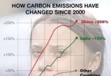 Petrișor Peiu: UE și-a scăzut emisiile de carbon cu 10%. China și le-a crescut cu 200%!