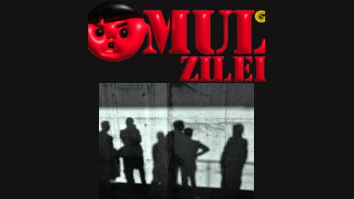 Omul Negru al Zilei, TânărulDebusolatMoralȘiNeeducat. Ușor de manipulat și cu comportament excesiv/inconștient, recrutat în masa de manevră a Statului Paralel, anti-Georgescu și pro-Lasconi!