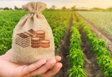 The Guardian: Bogații Europei încasează miliarde din subvențiile agricole acordate de UE, în timp ce micile ferme se închid