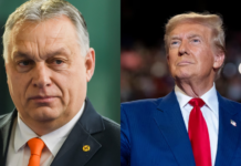 Ghilezan: După realegerea lui Trump, e limpede că Viktor Orban a ajuns “telefonistul-șef“ al planetei