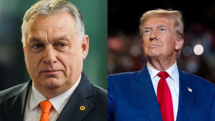 Ghilezan: După realegerea lui Trump, e limpede că Viktor Orban a ajuns “telefonistul-șef“ al planetei