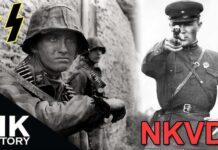 Stalin se întoarce / S-a reînoit Directiva din 2 iunie 1947: dușmanii trebuie lichidați!