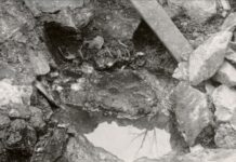 RETROSPECTIVĂ. Mistere istorice rezolvate de ştiinţă în 2024