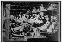 Adrian Stănică (DILEMA): La ce a fost (și-ar mai fi!) bună armata!