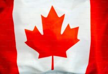 Povestea rabinului Solomon Friedman, patronul site-urilor de video-porno, ce-a avut forța să șantajeze Parlamentul Canadei