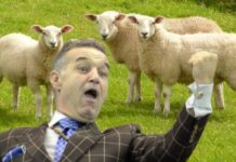Nistorescu îl anulează pe Gigi Becali. “Oierul Bulă a ajuns consultantul Coaliției!”