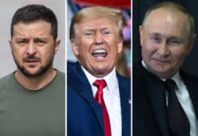 Gușă: Trump publicly shows his desperation, lashing out at an already badly damaged Zelenskiy, Putin is savouring his victory and effectively playing at three ends. Although he moved the black pieces, the Russian dominates in the great game of geopolitical chess!