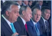 Alexa: Marius Vizer, implicat masonic alături de Călin Georgescu, are centură neagră la lipsa de onoare!