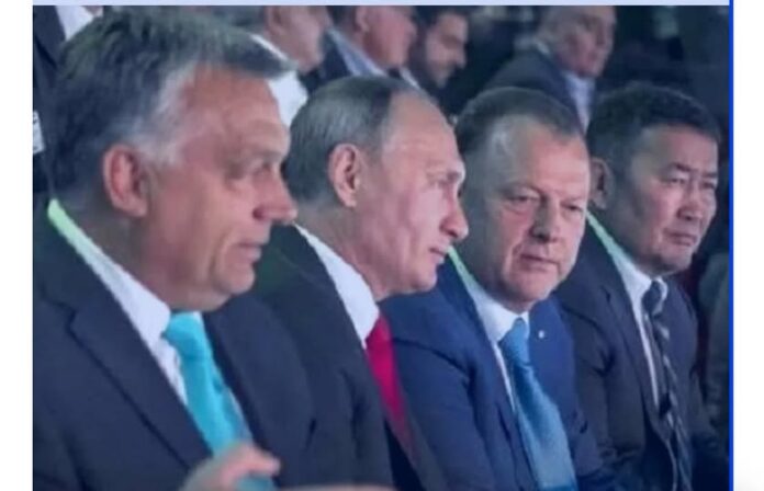 Alexa: Marius Vizer, implicat masonic alături de Călin Georgescu, are centură neagră la lipsa de onoare!