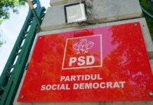 Sorina Matei prezintă cele 4 tabere din PSD ce se luptă pentru putere. Surprize mari!