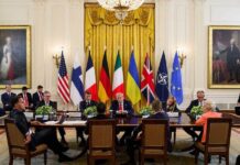 Octavian Știreanu, dileme legate de “Proiectul Ucraina”